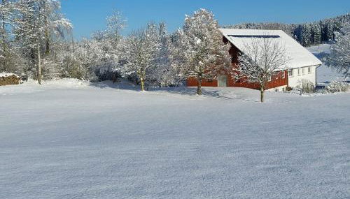 Allgäu Bergblick - Foto 3