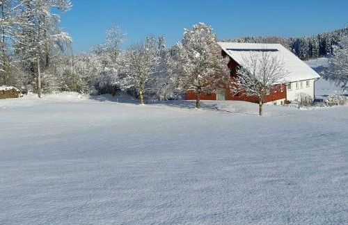 Allgäu Bergblick - Foto 3
