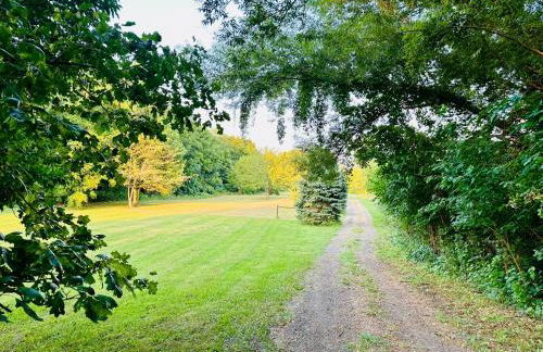 Serene Log Cabin Forest Retreat - Photo 23