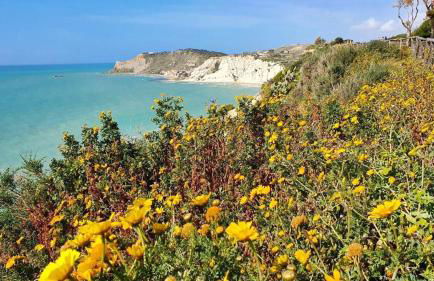 Apartment with Sea View, Lido Rossello - Foto 56