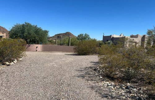 Tucson Mnt Foothills Saguaro Bliss - Foto 43