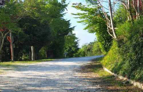 Agriturismo Becerca Vegan - Foto 61