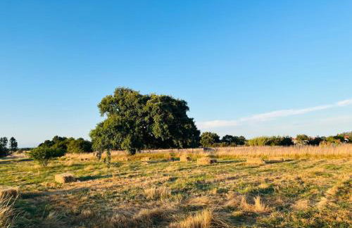 Villa das Oliveiras - Foto 49
