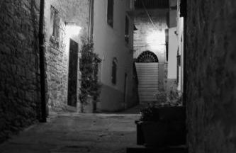 Guelfi6 Poppi - Foto 19