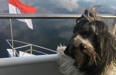 Ferienwohnung Evelyn und Reinhard Himmler - Foto 56