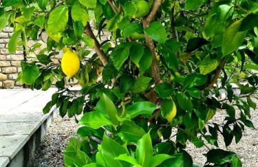 Provence villa with large pool and amazing view - Foto 54