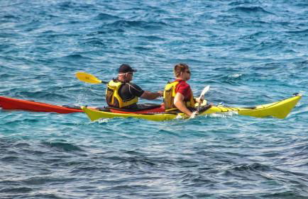 Esprit Cottage "4 étoiles" sables d'Or les pins - Foto 22