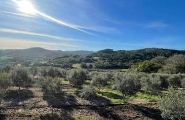 Cabana Romântica em Pelotas - Photo 14