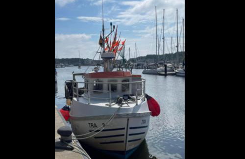 Grünstrand - Foto 26