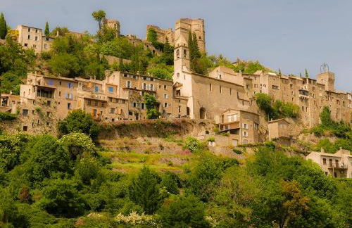 Chateau des Gipières bij de Mont Ventoux - Foto 53
