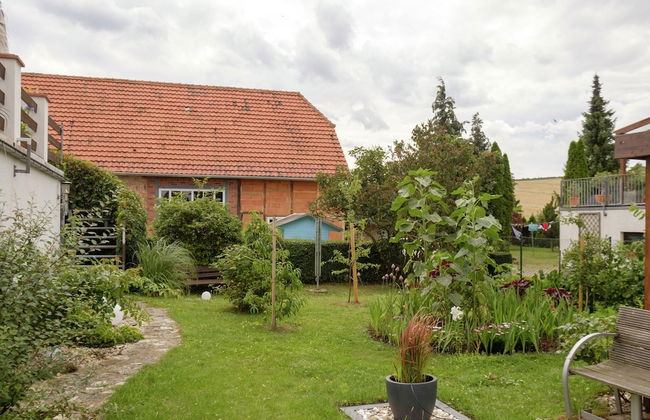Apartment in Harz With Terrace - Photo 17