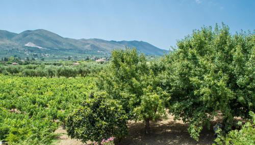 Paliorouga Lodge Zakynthos - Foto 2