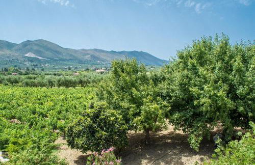 Paliorouga Lodge Zakynthos - Foto 2