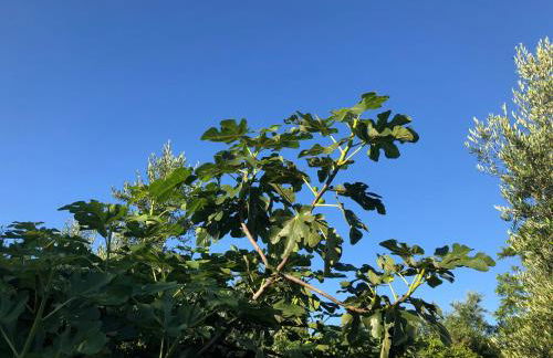 Beautiful Farm House - Foto 18