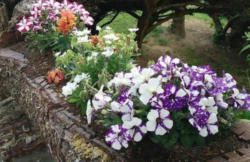 Toscana da Sogno a Villa Allegria - Foto 47