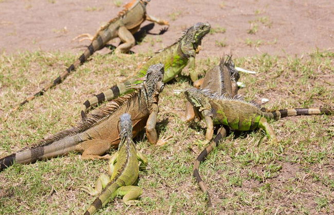Tour por Ventanilla, Mazunte e Zipolite - Foto 2