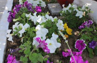 Nana's studios - Photo 38