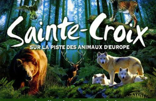 Le havre de paix - Foto 19