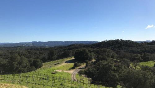 Dunning Vineyards Guest Villa - Foto 3, Garden view