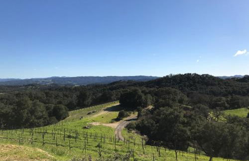 Dunning Vineyards Guest Villa - Foto 3