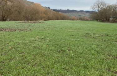 FeWoMo Stilvolles EG Appartment, Brauneberg, 4 Pers, Boots Slipanlage, Moselradweg, Seniorengerecht - Foto 20