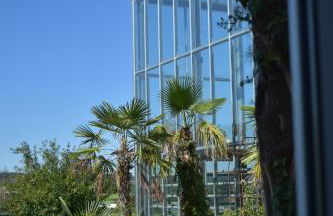 Palmengarten - Foto 58