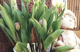 Ferienwohnung Otschik - Foto 28