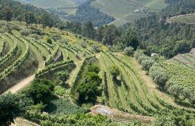 Quinta Teoria - Teoria Guest House - Foto 45