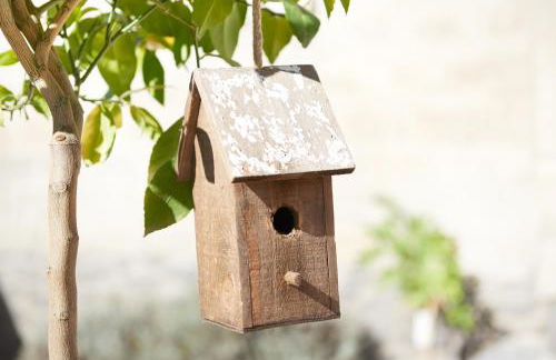 Ferienhaus Lemon Tree - Foto 63