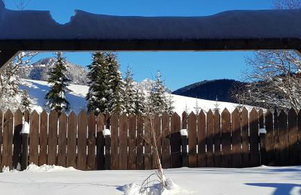 Aqua Apartments Spa Housemuhlbach - Photo 51