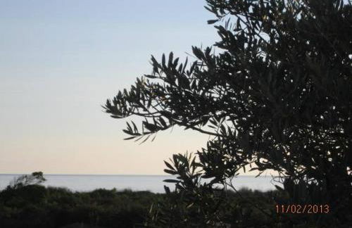 VILLA T3 bord de mer - vue mer à 500 m de la plage- piscine chauffée A CASETTA DI A SPIAGGIA - Foto 21