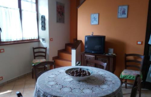 APPARTAMENTO FERRARO TURINA - Foto 9