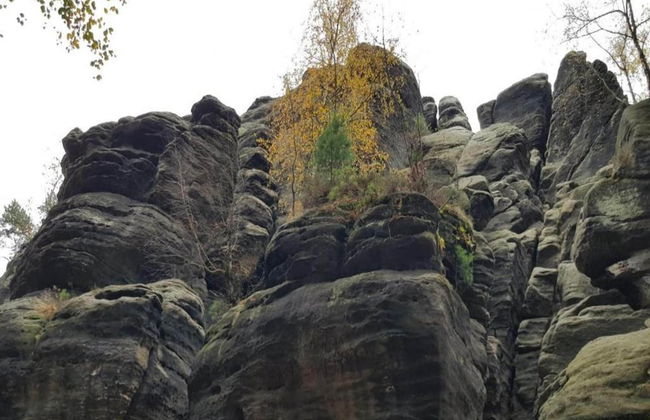 Ferienwohnung, Struppen - Foto 24