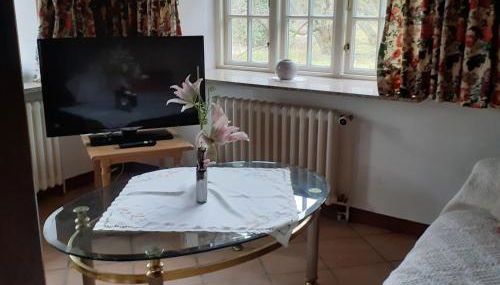 Hackerhof-Suedwohnung - Foto 3