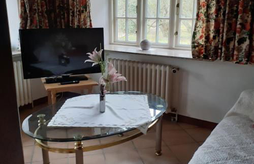 Hackerhof-Suedwohnung - Photo 3