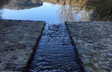 The Cozy Cottage - Foto 24