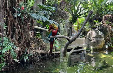 The Minted Mermaid - Foto 32