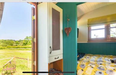 Shepherds Hut with Scandinavian Hot Tub and hydromassager - Foto 10