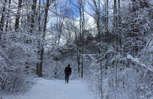 Private Dog-Friendly Home 3 Mi to Elk Mountain - Foto 32