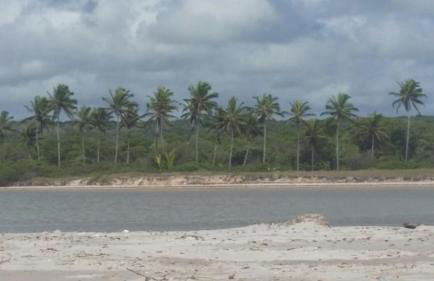 A 2 passos do paraíso - Photo 31