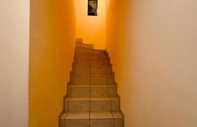 Les Écureuils - Foto 31