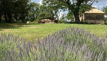 La bastide des Roman - Foto 2