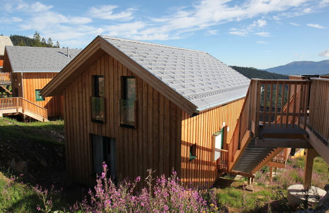 Klippitzrose - Foto 45