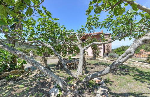 Agriturismo Amandolo - Foto 7