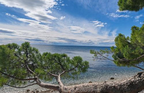 Apartments Oleander Lovrečica-residence with pool - Photo 21