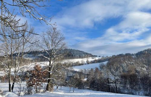 Dom Pod Dębem Agroturystyka - Foto 67