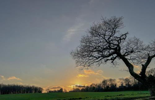 Rural Cottage under 3 miles to Mundesley and Norfolk Coast - Foto 25