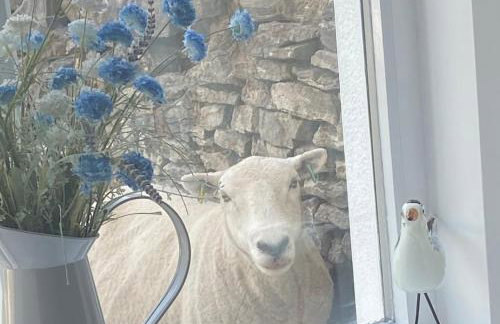 Great Orme Cottage, Llandudno - The Best of Rural & Coast! - Foto 4