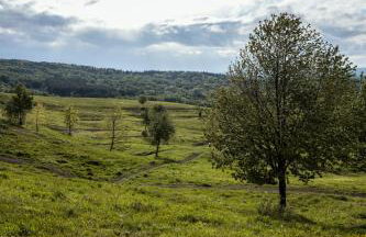 Agroturystyka Pawlikówka - Foto 60