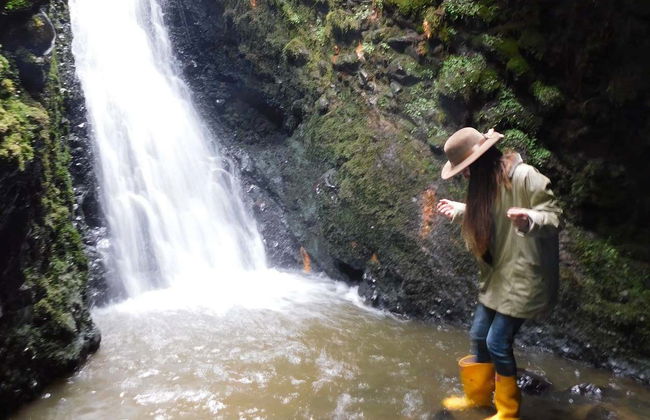 Senderismo por el bosque de Quero - Foto 8